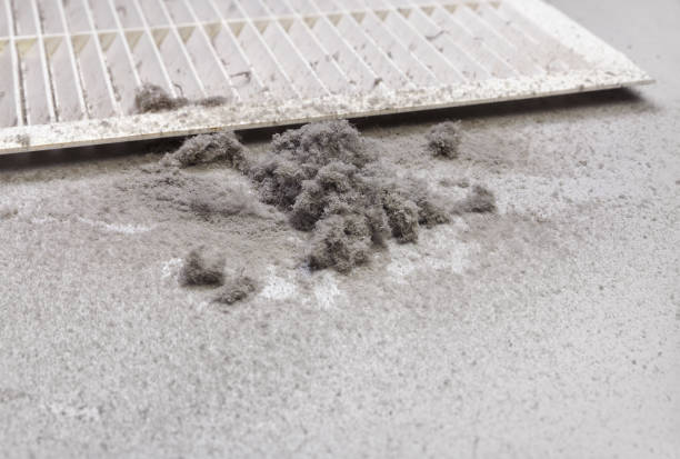 Best Affordable Air Duct Cleaning  in Wallace, NC