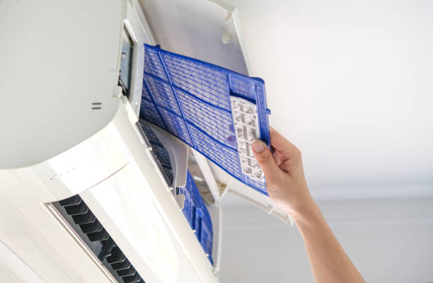Best Air Duct Cleaning Near Me  in Wallace, NC